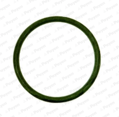 Junta de colector de admisión para Citroen C3 A51