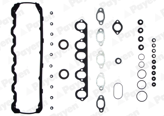 DW830 Payen