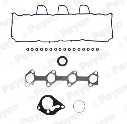 CH7590 Payen