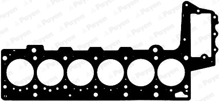 AG9000 Payen