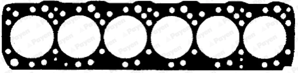 AA5010 Payen
