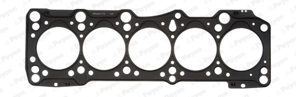 AF5350 Payen