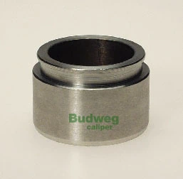 234321 Budweg