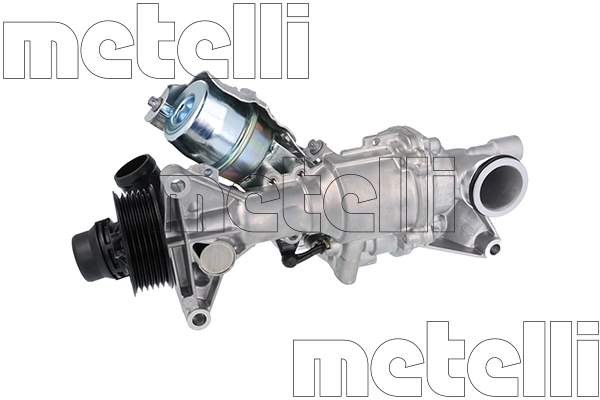 241475 Metelli