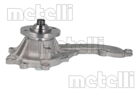 241463 Metelli