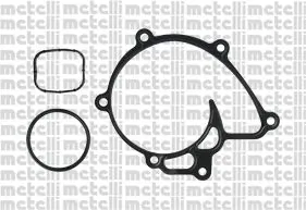 241223 Metelli Bomba refrigerante coche