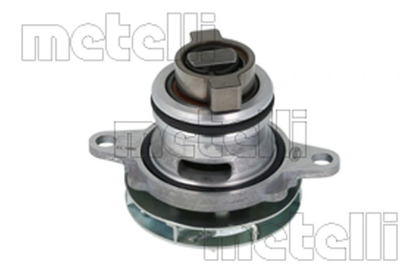 241446 Metelli