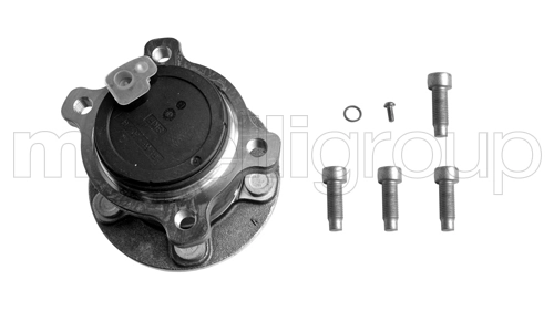 Bujes de ruedas Ford Galaxy  (WA6)