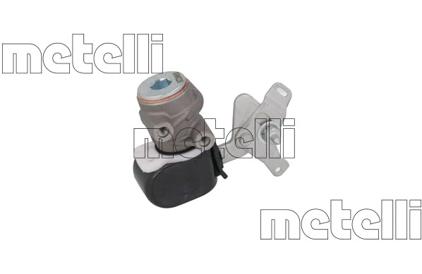 090049 Metelli