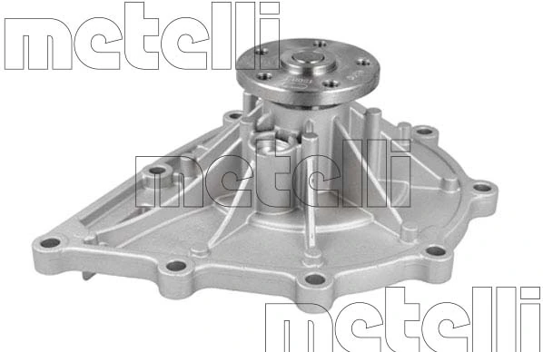 241509 Metelli