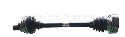 170763 Metelli