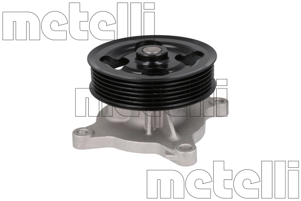 241462 Metelli
