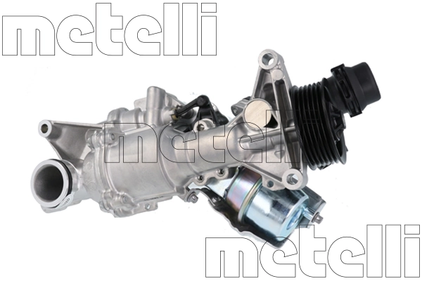 241493 Metelli
