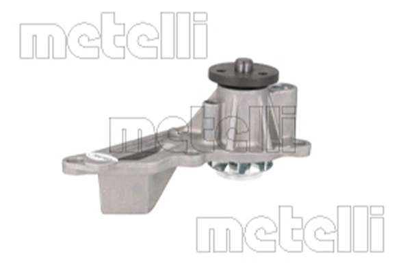 241487 Metelli