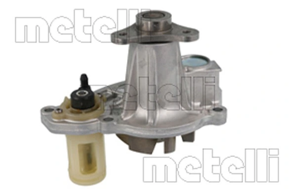 241491 Metelli