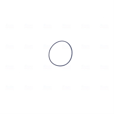 Cuerpo de mariposa 955120 Nissens