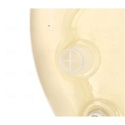 Botella de expansión Renault Trucks MAGNUM IV
