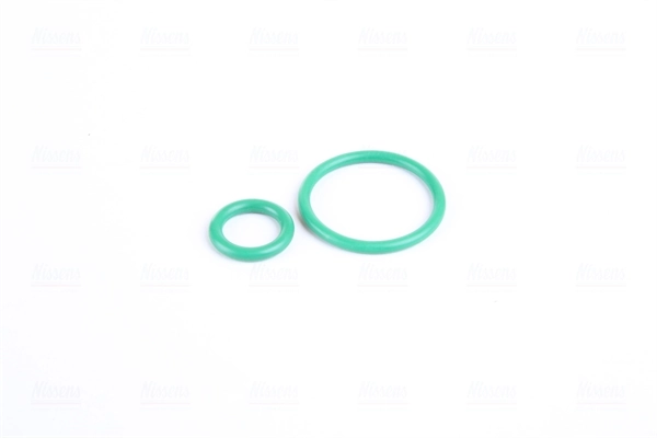 Compresor de ac Nissens 89513