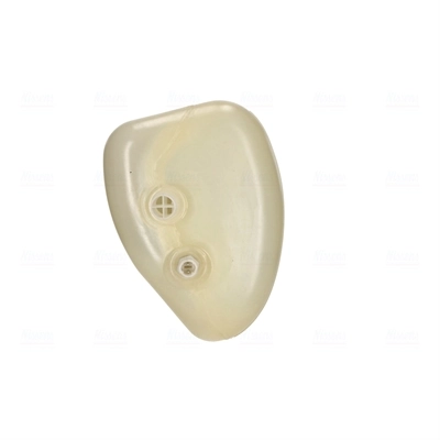 Comprar Vaso de expansión Renault Trucks MAGNUM IV 