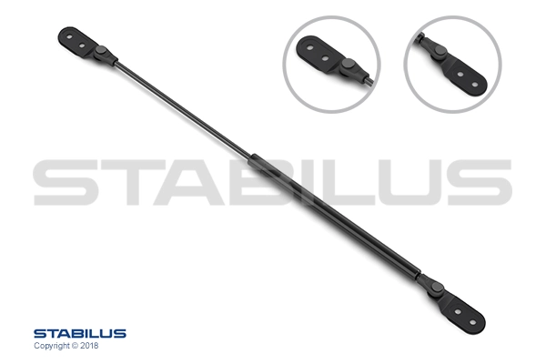 768389 Stabilus