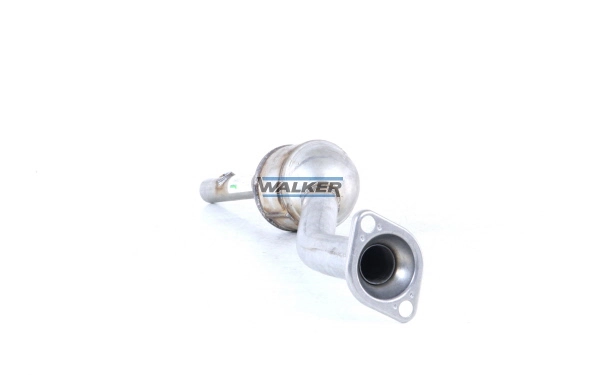 Catalizador Walker 20894 precio, desde 192,35 EUR