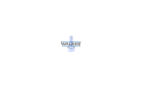 80460 Walker