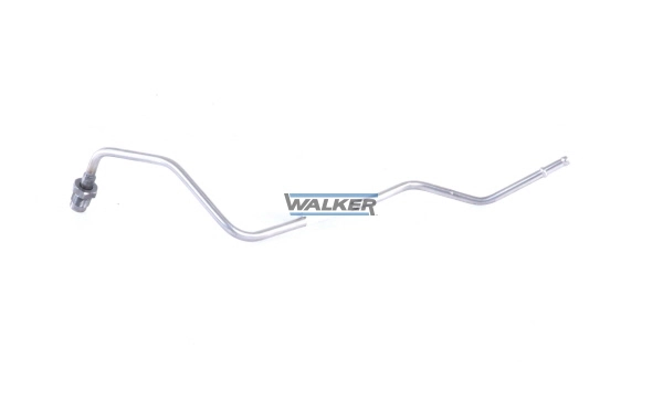 10793 Walker