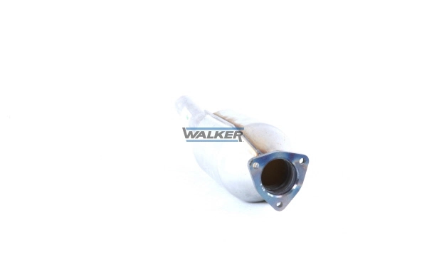 28017 Walker