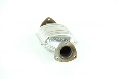 20260 Walker