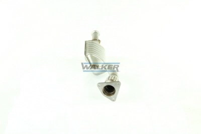 Comprar Catalizador Renault Laguna I B56, 556