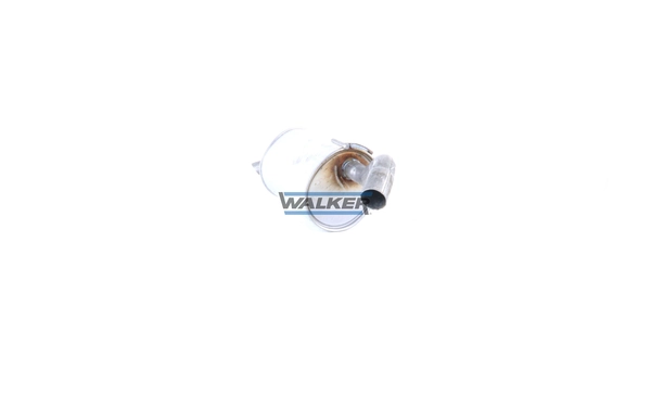 23709 Walker