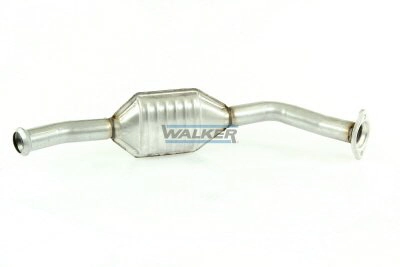 Catalizador de gasolina y diésel para Citroen ZX  N2