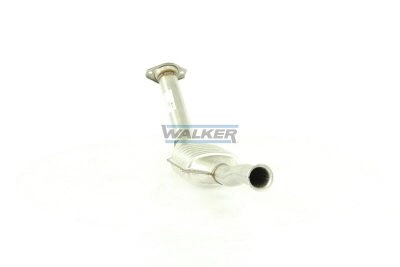 20297 Walker