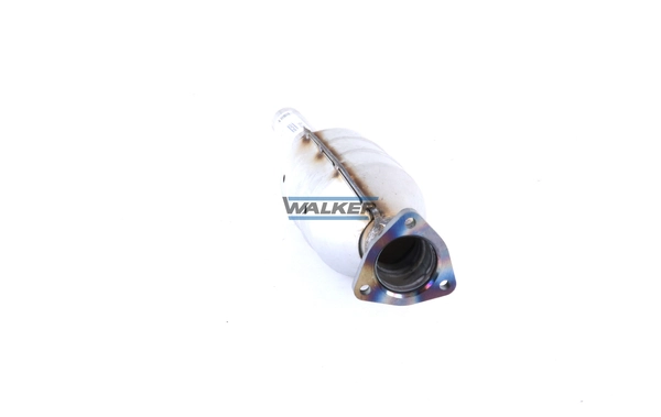 Catalizador Walker 20196 precio, desde 127,46 EUR