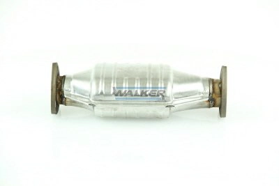 FP1106G51 Polmostrow Catalizador de gasolina y diésel