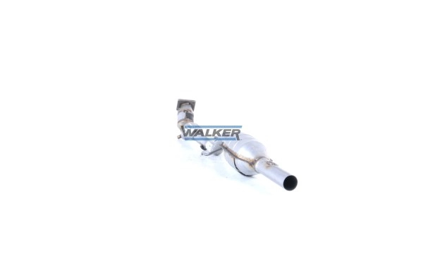 28676 Walker