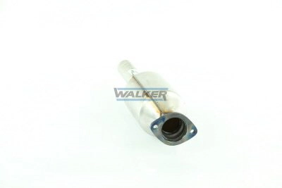 Catalizador Walker 20529 precio, desde 198,22 EUR
