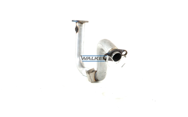 21811 Walker