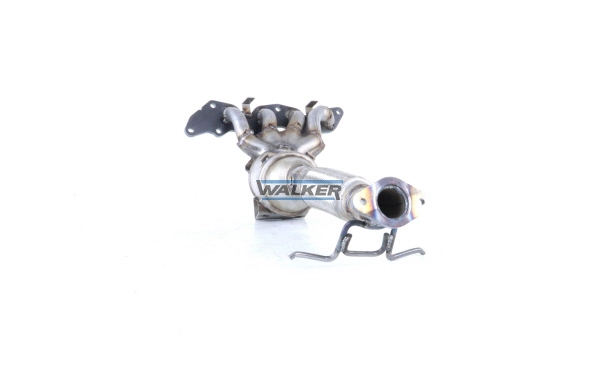 28660 Walker