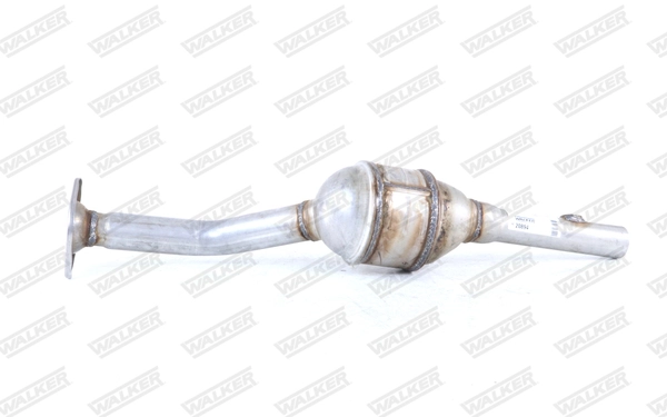 Comprar 20894 Walker Catalizador