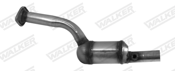 28886 Walker