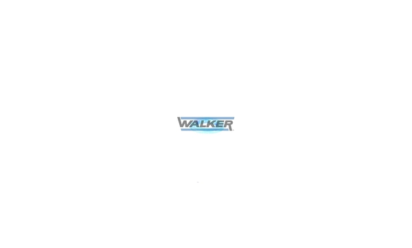 80633 Walker