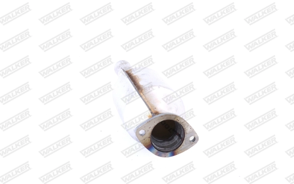 Comprar 20529 Walker Catalizador