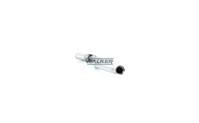 21866 Walker