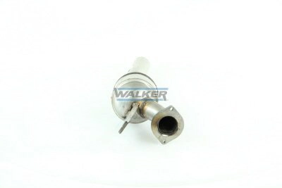 20878 Walker