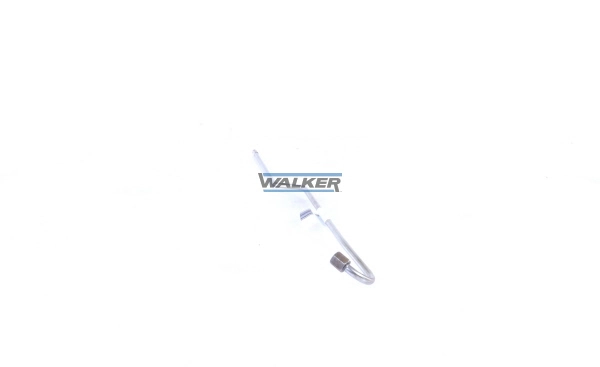 10762 Walker