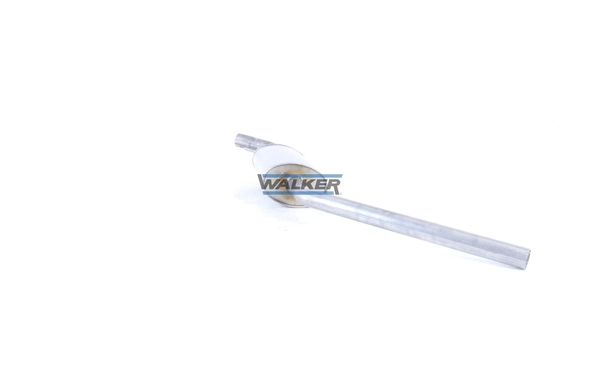 21036 Walker