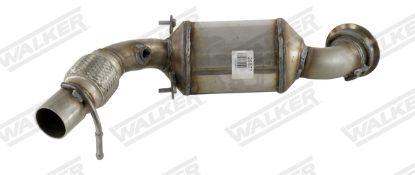 28877 Walker