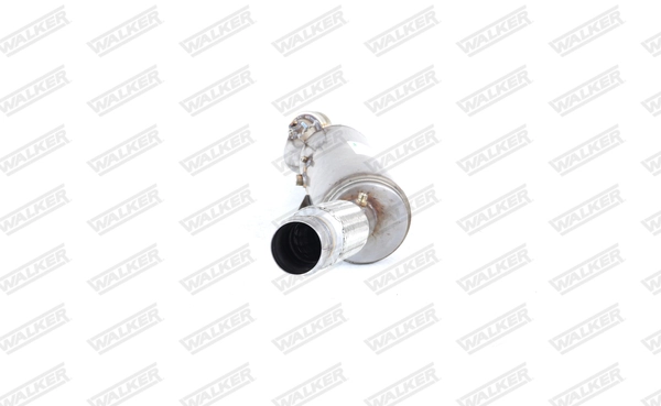 A907490240164 Mercedes DPF