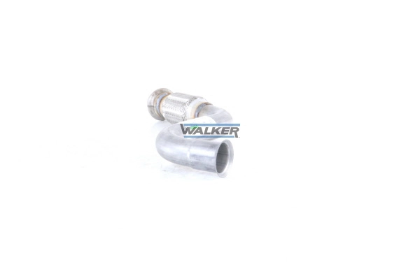 10564 Walker